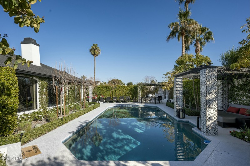 Backyard Oasis