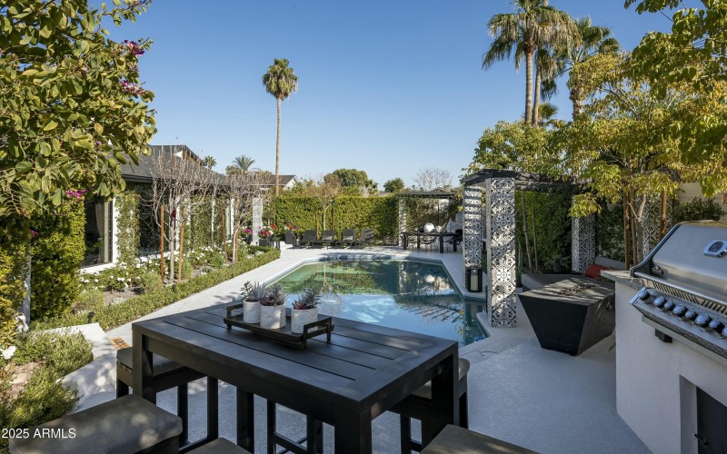 Backyard Oasis