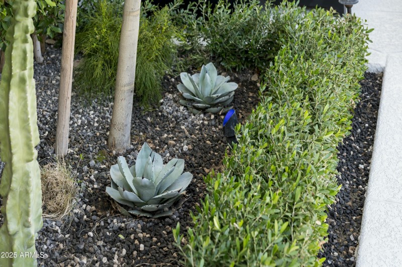 Manicured Landscaping