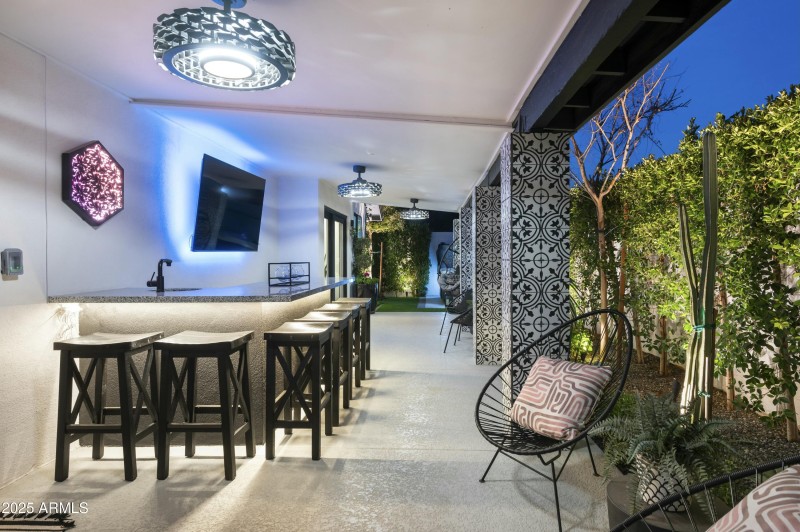 Backyard Oasis