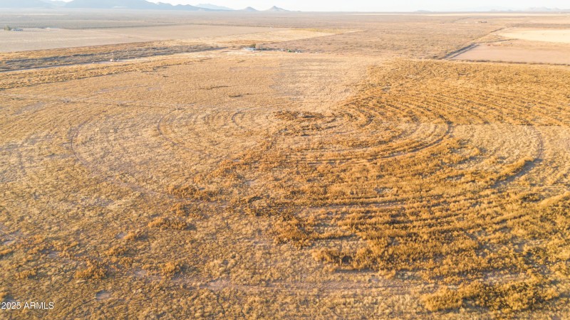 DJI_20250204172159_0020_D