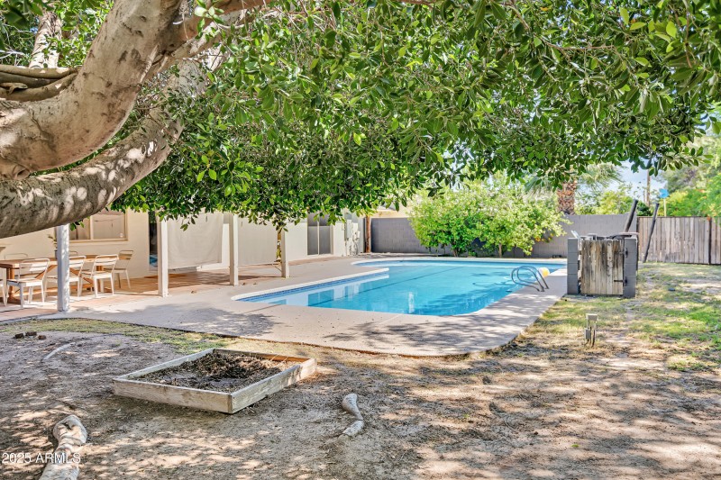 Backyard from corner
