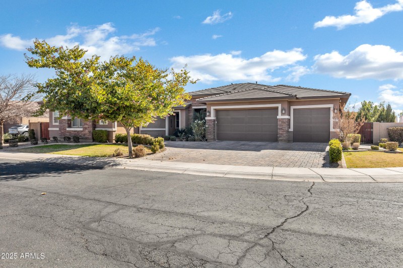 1783 E Desert Broom Pl-3