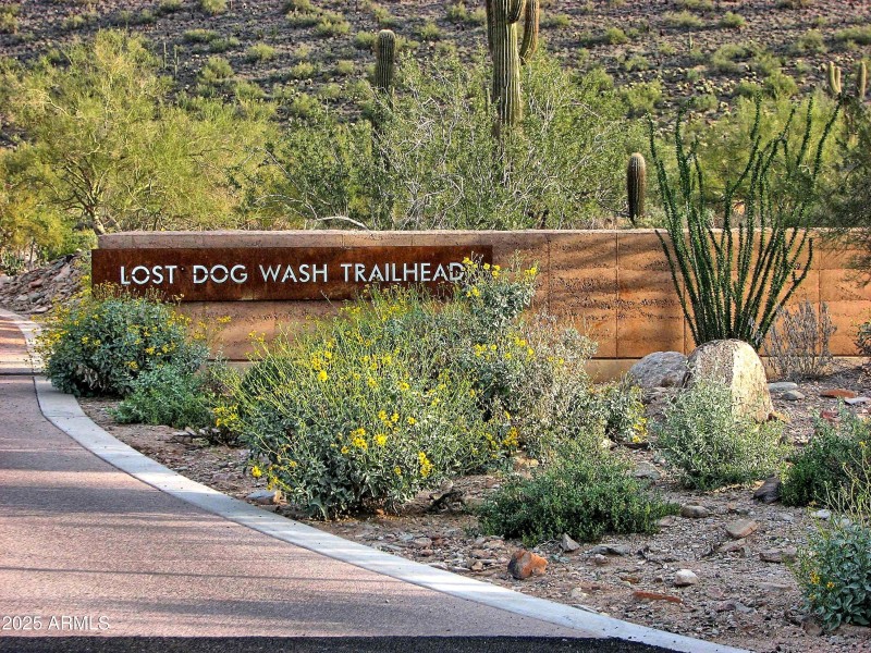 Lost Dog Trail