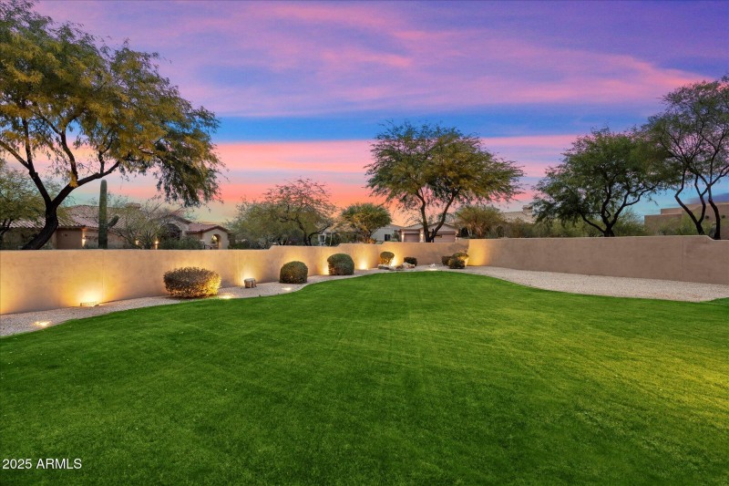 Backyard