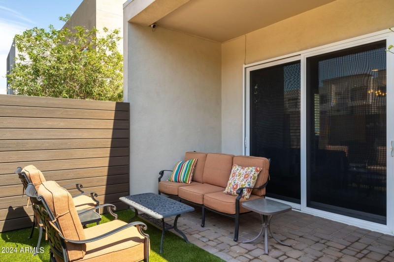 BAckyard3