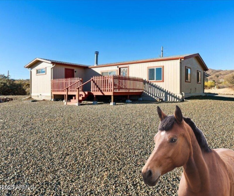 Like horses?