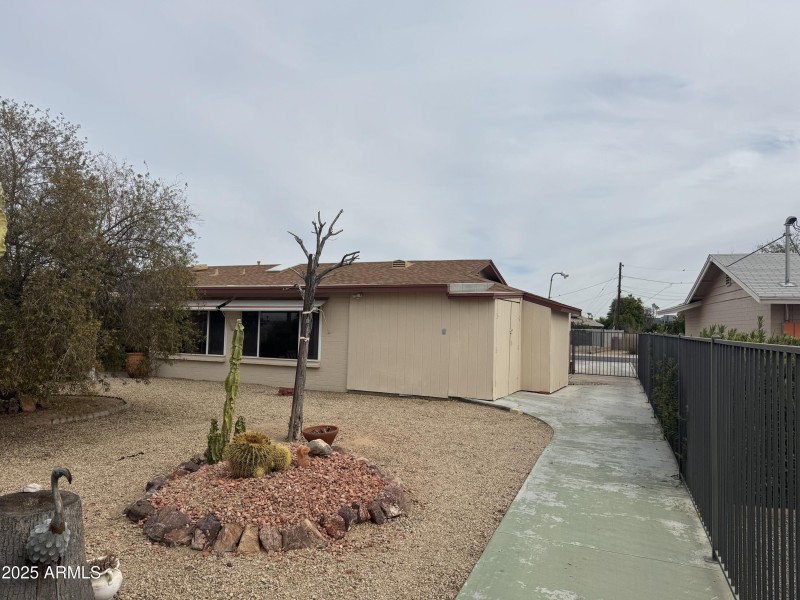 backyard2