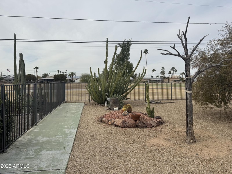 backyard3