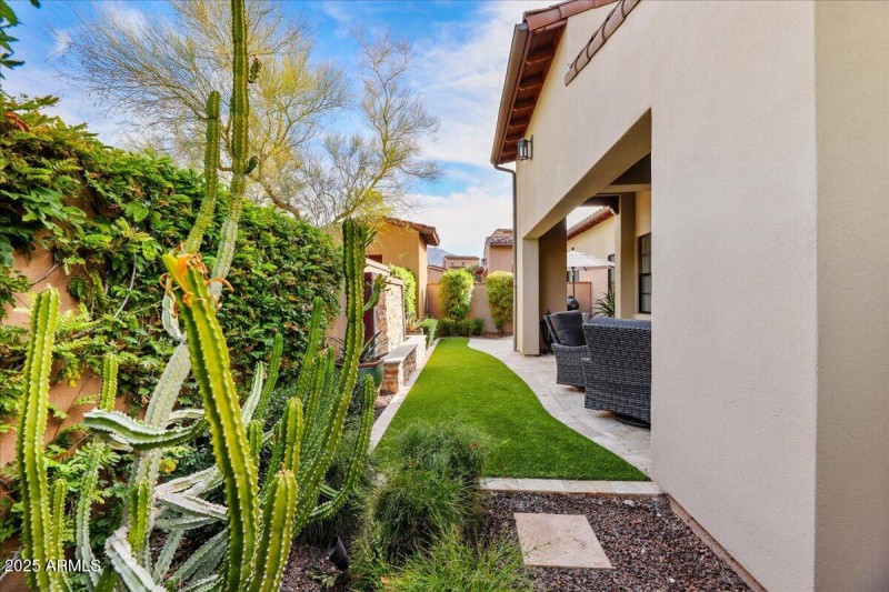 21-Back Yard