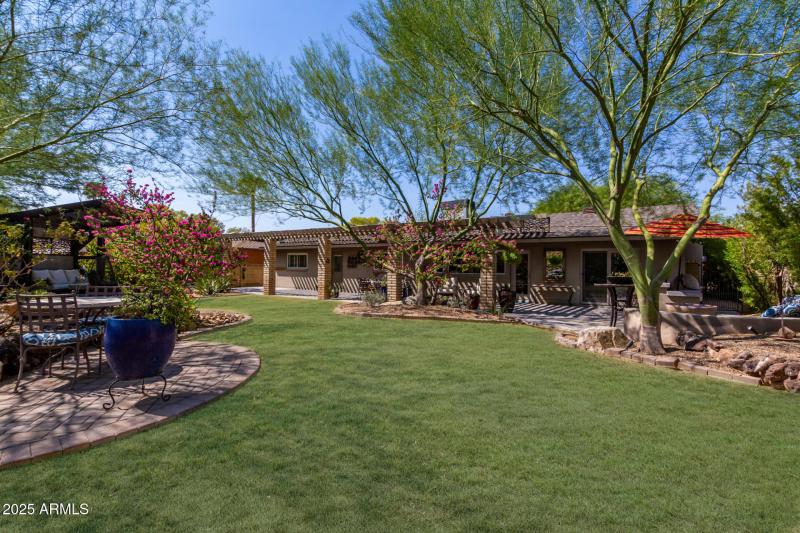 Stunning Spacious Backyard