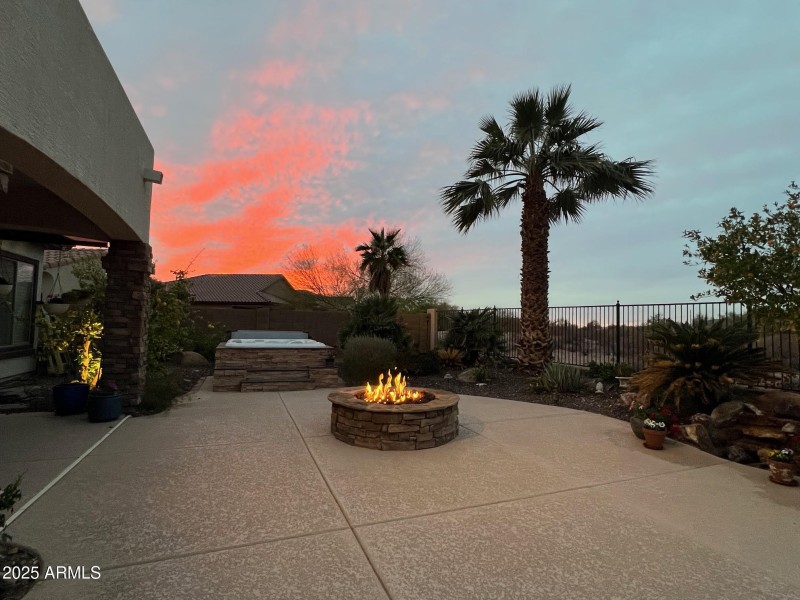 backyard 1