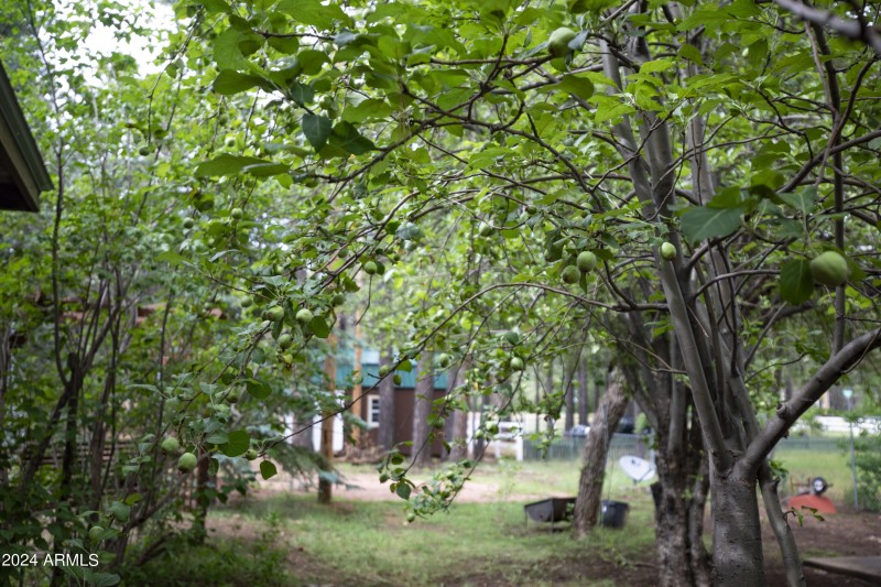 2524OLDRIM16