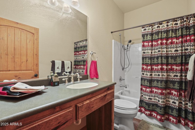 basement handicap accessible bath