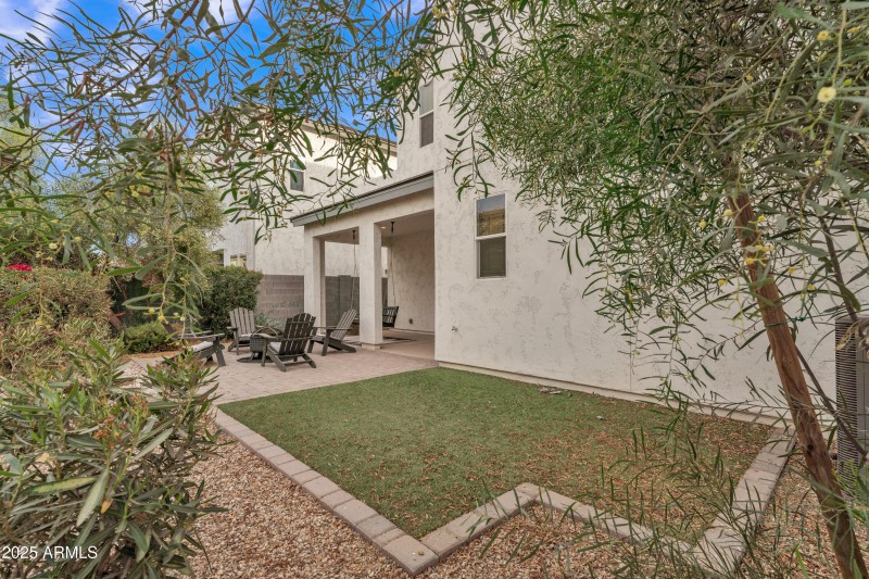 367 backyard 2