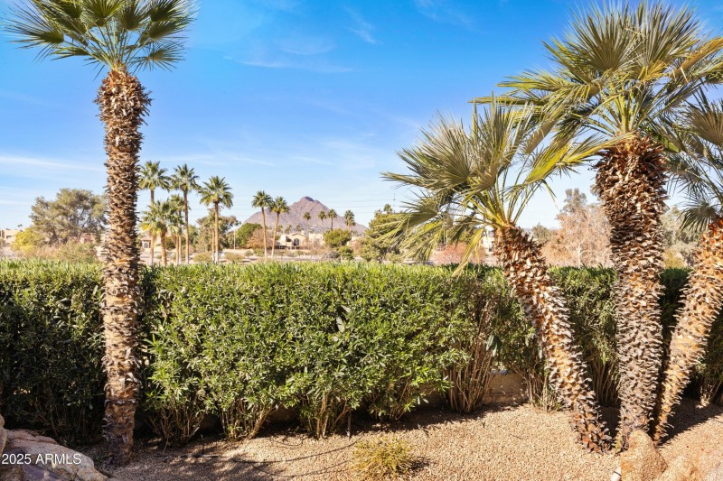 Backyard has VIEWS of Camelback Man