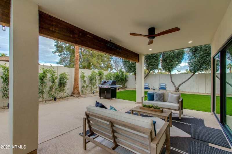 VIEW FROM THE PATIO
