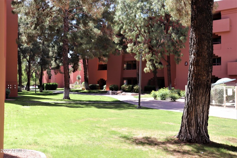 Huge Open Grassy Area