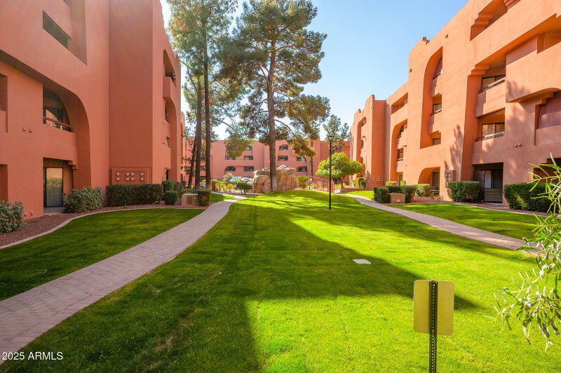 Gorgeous Grassy Area