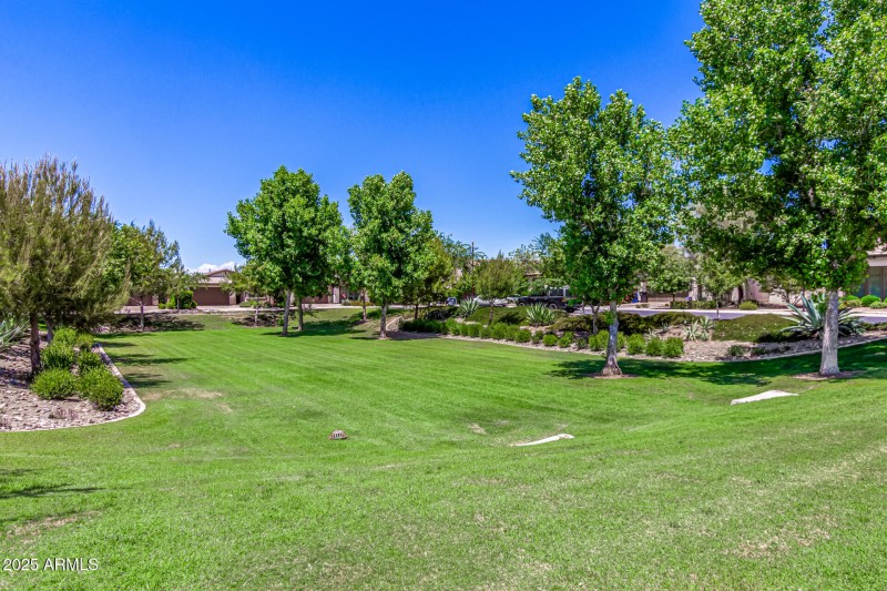 Eastmark Community