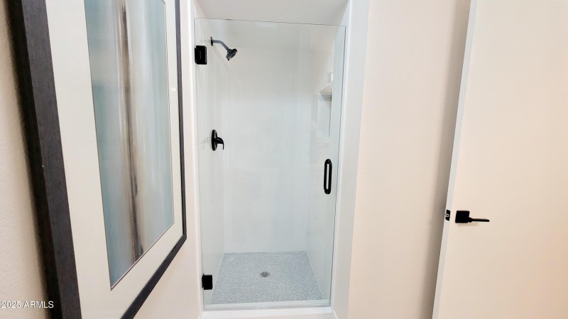 Primary Shower