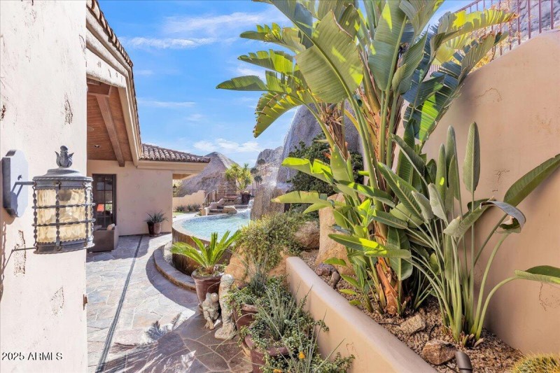 Back Yard like a resort