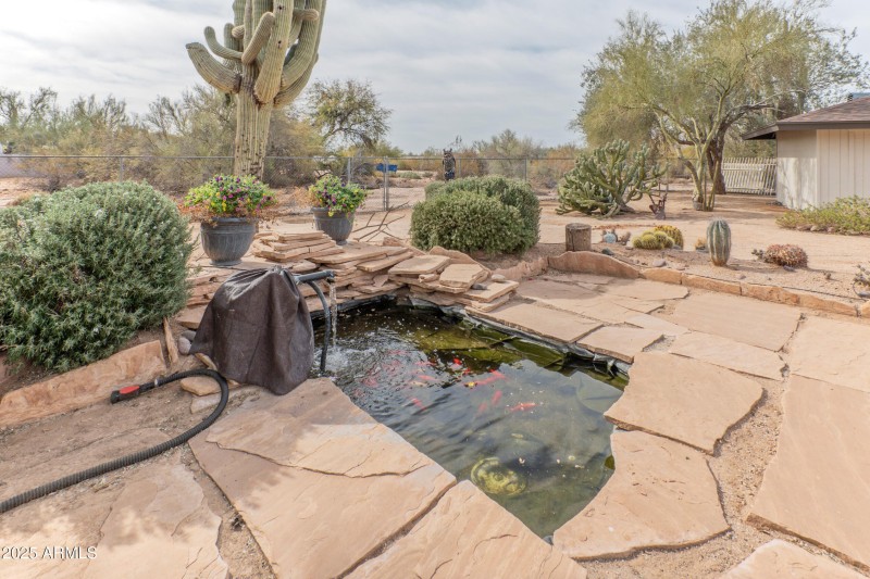 Koi Pond