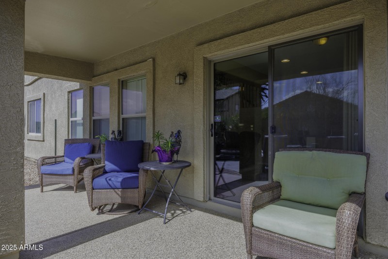 Back Patio 1