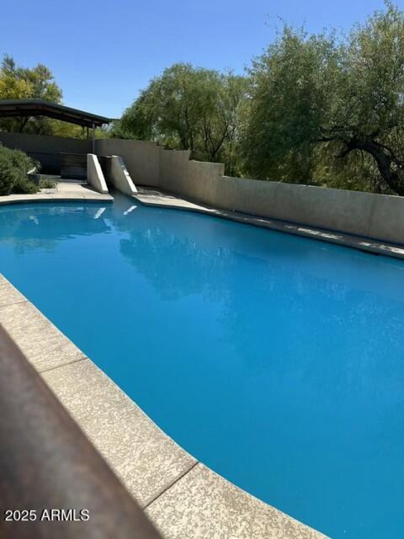 Equine pool
