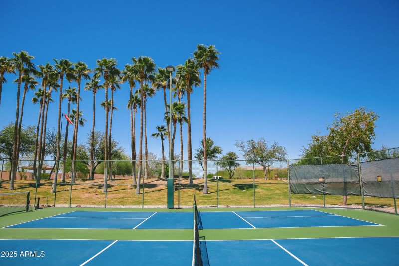 Pickleball Court