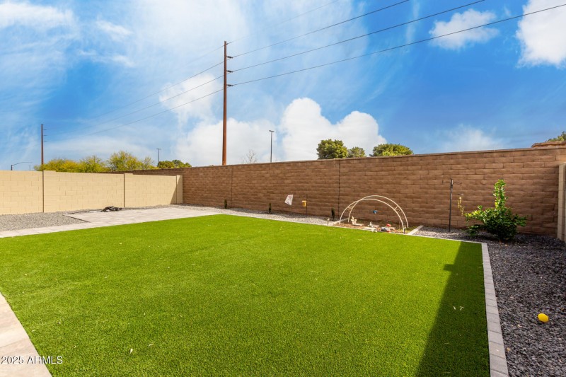 backyard 3