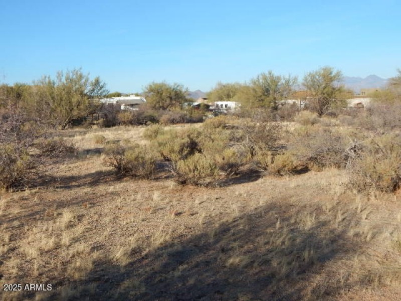 DSCN0219