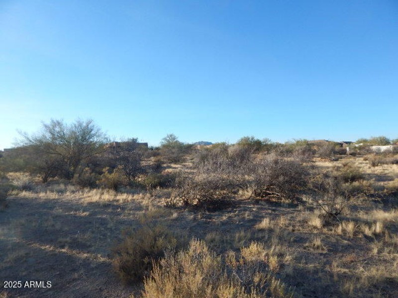 DSCN0220