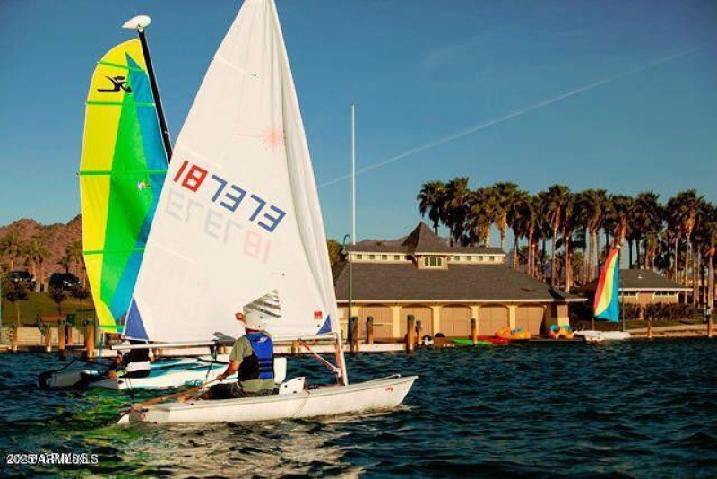 Estrella 50