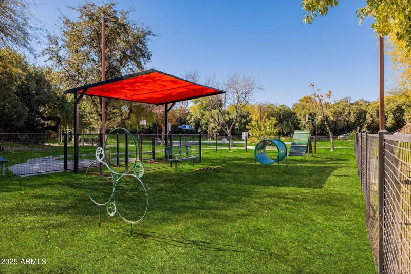 Dog Park