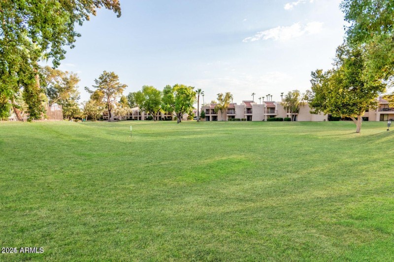 Open Lawn