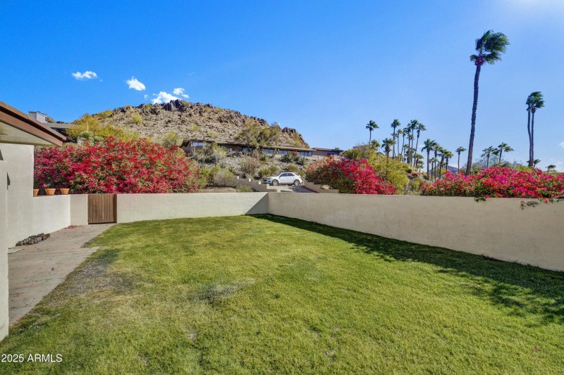 Side Yard with Views