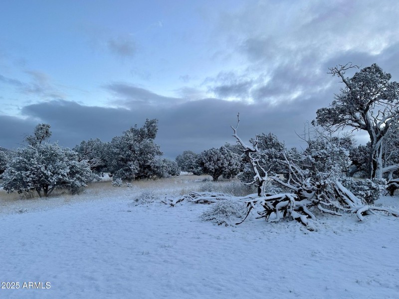 Snow caped
