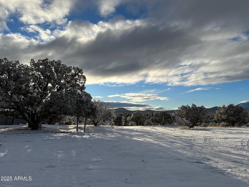 Clear day with snow on the ground