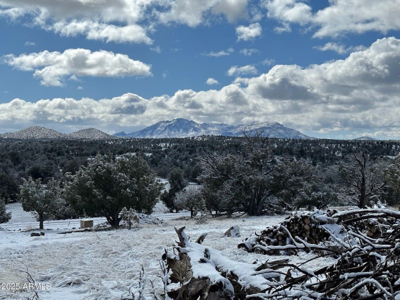 Snow covered mountain view