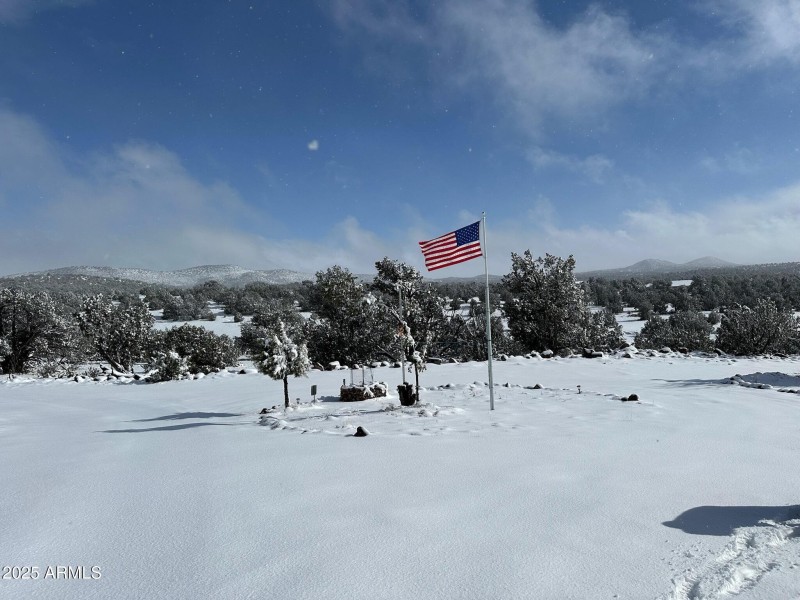 snow covered entry with flagpole