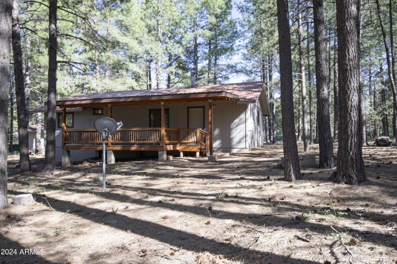 1667 Little Pine 12