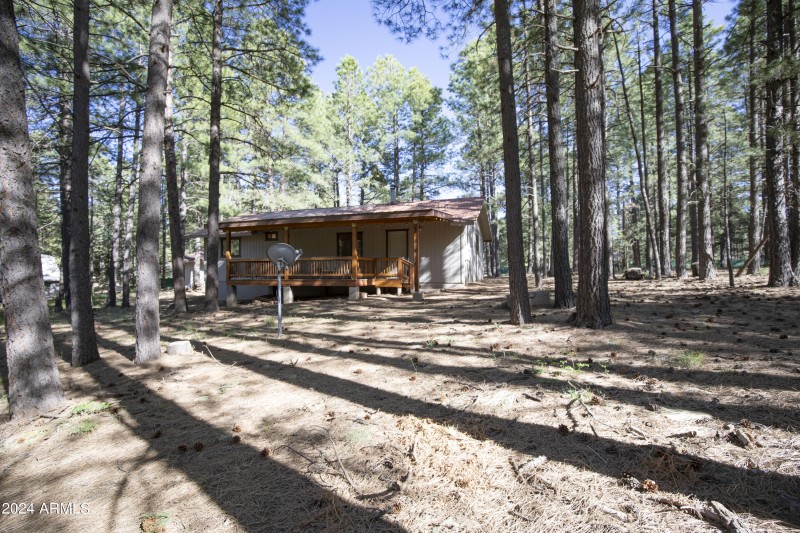 1667 Little Pine 13
