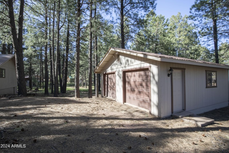 1667 Little Pine 4