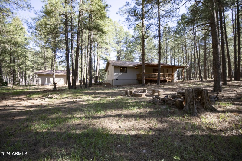 1667 Little Pine 8