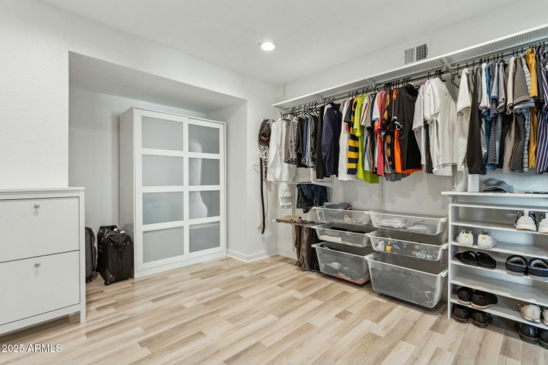Primary Closet II