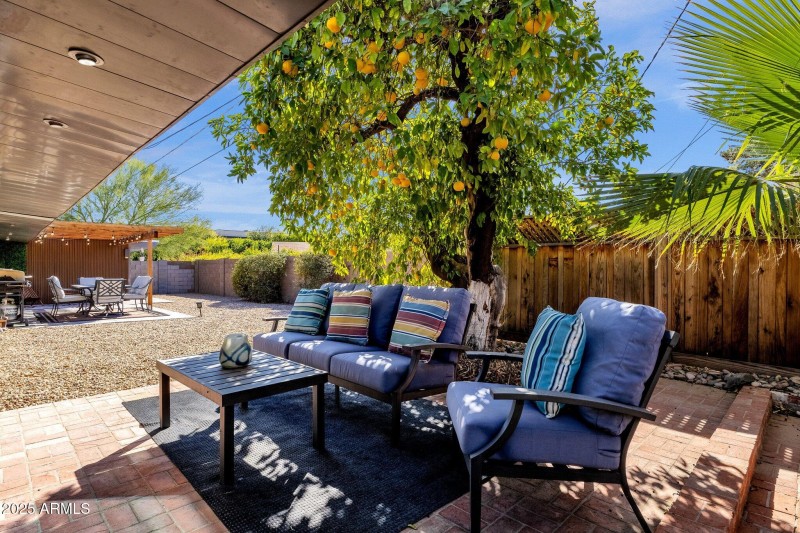 Chap Backyard