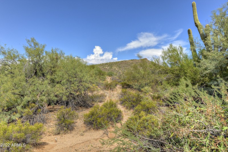 Desert Mountain
