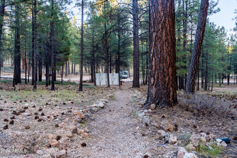 walking path to camp sites