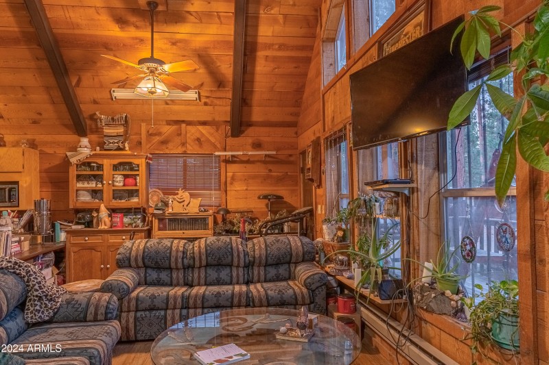 Cabin interior